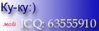 icq.jpg (8373 bytes)